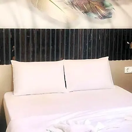 Bonita Hotel 3*